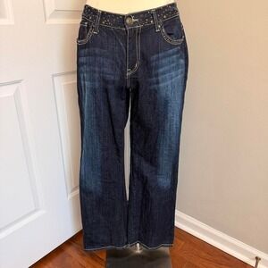 Y2K‎ DARKWASH ZANA DI FASHION BUG STUDDED JEANS